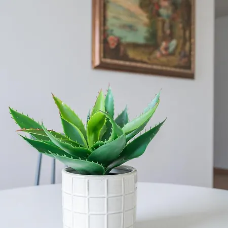 Casa Verdelago Welchome *