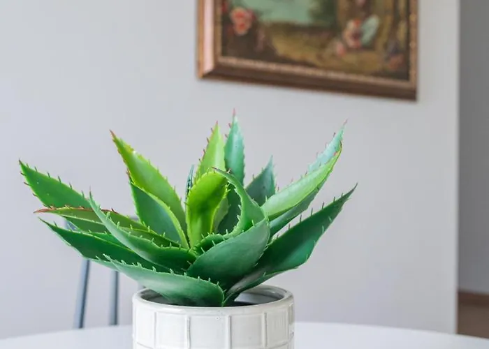 Casa Verdelago Welchome *